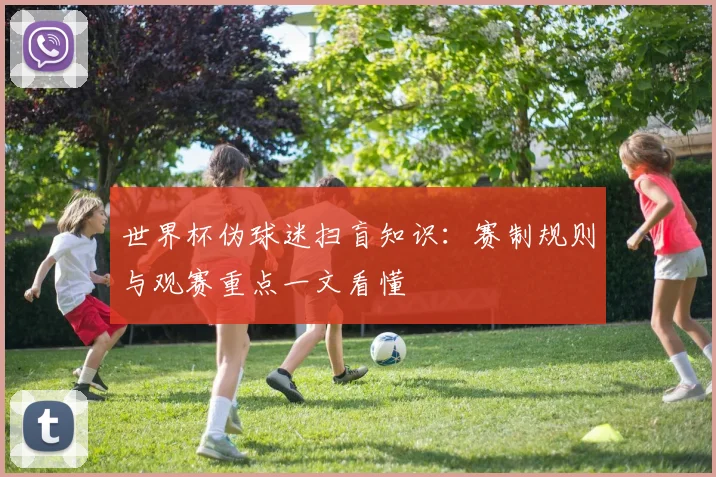 世界杯伪球迷扫盲知识:赛制规则与观赛重点一文看懂