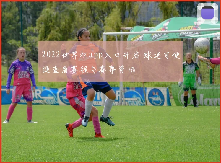 2022世界杯app入口开启 球迷可便捷查看赛程与赛事资讯